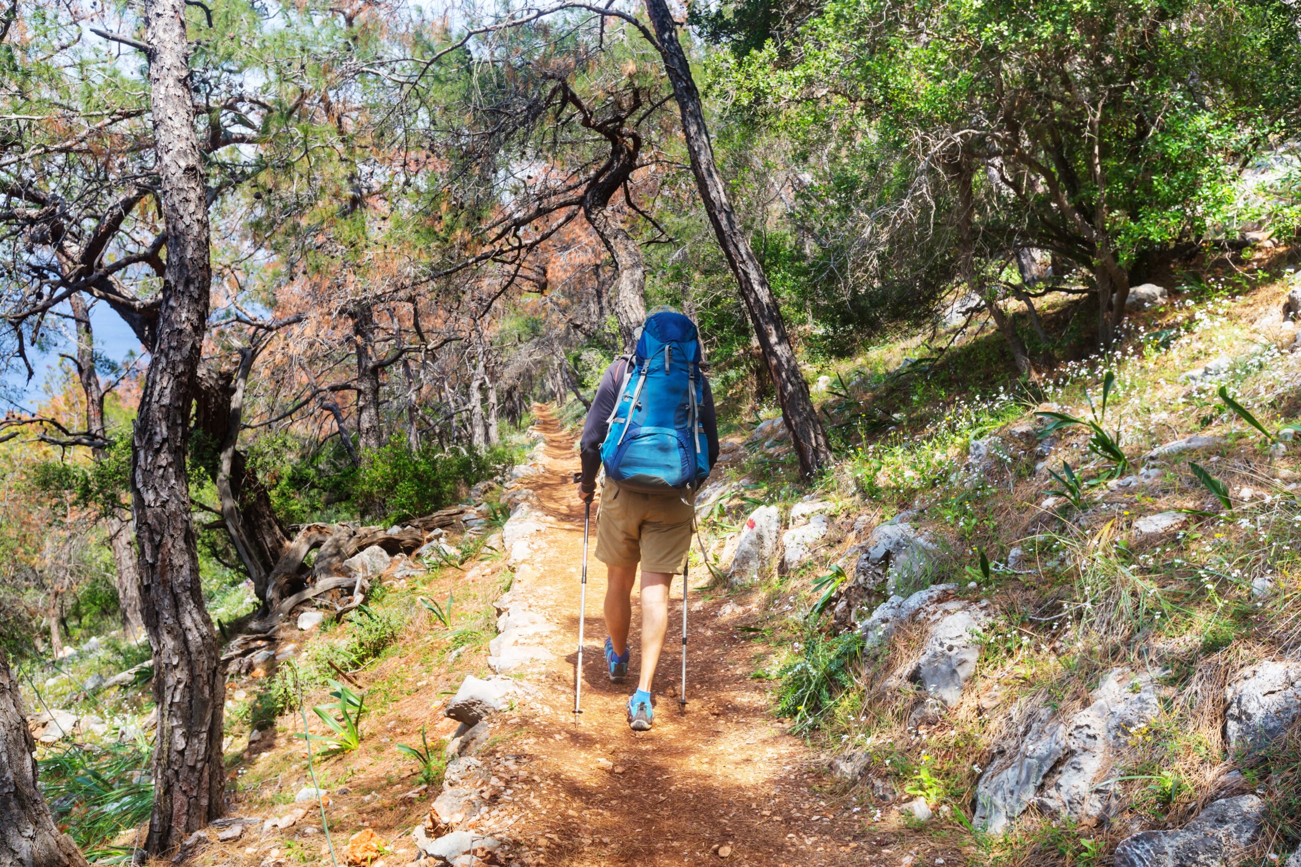 recovery is a journey path markers