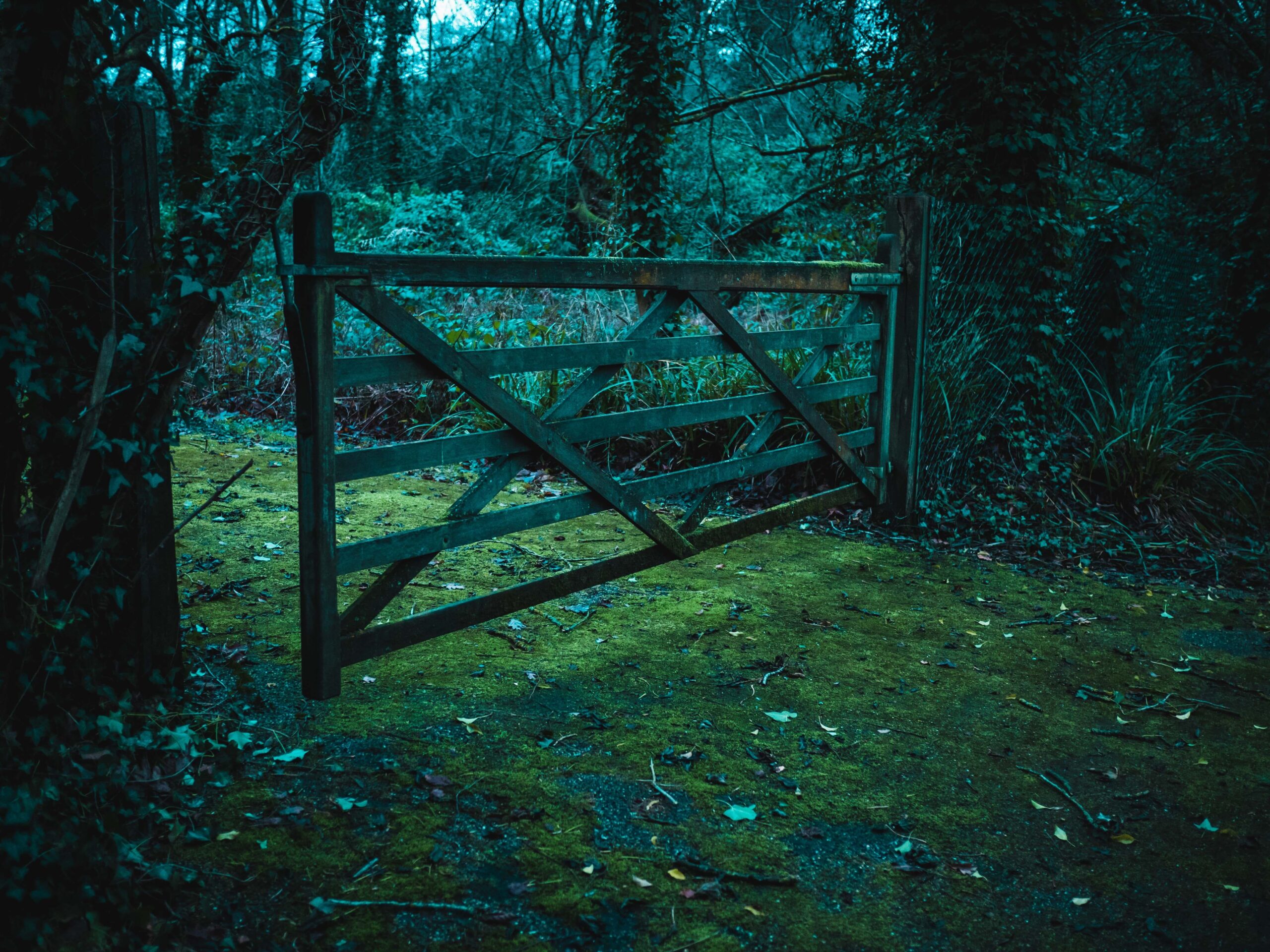 Illustrating the truth about gateway drugs and the path to addiction.